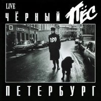 Песня ДДТ - Ленинград скачать и слушать