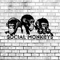 Песня Social Monkeys - Безумие скачать и слушать