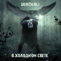 Песня Skrizhali - Картины брошеного рая скачать и слушать