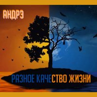 Песня АНДРЭ(СПб) - Диванный металлюга скачать и слушать