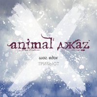 Песня Animal ДжаZ - Пузырьки скачать и слушать