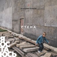 Песня Анатолий Крупнов - Стена скачать и слушать