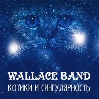 Песня Wallace Band - Скрипачка и флейтистка скачать и слушать