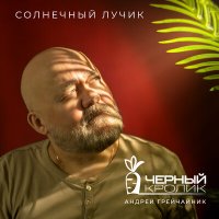 Песня Чёрный кролик, Андрей Грейчайник - Солнечный лучик скачать и слушать