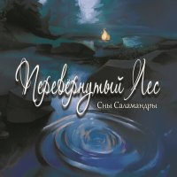 Песня Сны Саламандры - Перевернутый лес скачать и слушать