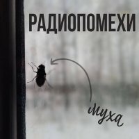 Песня Радиопомехи - Муха скачать и слушать