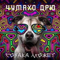 Песня Чумахо Дрю - Собака Барабака скачать и слушать