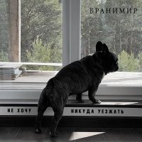 Песня Бранимир - Не хочу никуда уезжать скачать и слушать