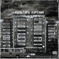 Песня PHXXSPHOR - Музыка Свободы скачать и слушать