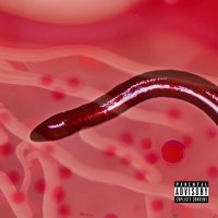 Песня Кровавый тостер - A Worm Got Into The Circulatory System скачать и слушать