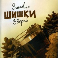 Песня Зимовье зверей - Отложения во времени скачать и слушать