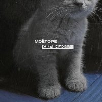 Песня моёгоре - серенький скачать и слушать