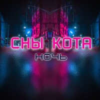 Песня Сны Кота - Ночь скачать и слушать