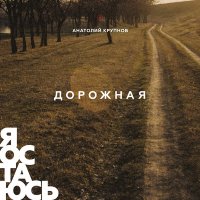 Песня Анатолий Крупнов - Игрок скачать и слушать