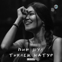 Песня Ilgizmo - Һин шул тиклем матур скачать и слушать