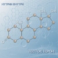 Песня НУТРИИ ВНУТРИ - Тестостерон скачать и слушать