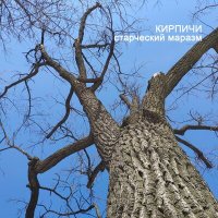 Песня Кирпичи, Билли Новик, Владимир Бегунов, Радар - Blues de Moscou III скачать и слушать