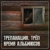 Песня Время альбиносов - Трепанация. Трёп скачать и слушать