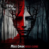 Песня Crow In Me - Miss Darkness come скачать и слушать